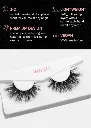 AOA-Pro-Eyelashes3-3_LASH-1669_ANTHEIA_540x.webp