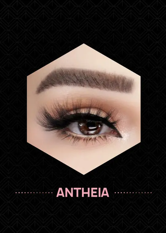 AOA-Pro-Eyelashes2-3_LASH-1669_ANTHEIA_540x.webp