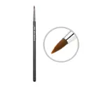 Eyeliner Makeup Brush 209