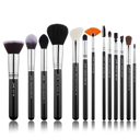 PRO 13 pcs Makeup Brush Set T301