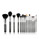 Essential 15 Pcs Makeup Brush Kit T092