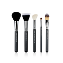 PRO Makeup Brush Set 5 Pcs T118