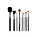 Pro Set 8 Pcs Makeup Brush Set T121