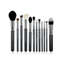 PRO 12 Pcs Makeup Brush Set T128