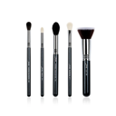 PRO 5 Pcs Makeup Brush Set T125