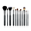 PRO 12 Pcs Makeup Brush Set T129