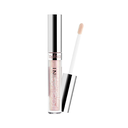 Focus Point Lipgloss
