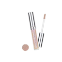 Top face Focus Point Lipgloss